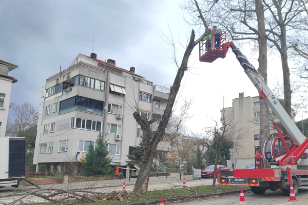 Bursa genelinde etkili olan lodosa yönelik çalışma