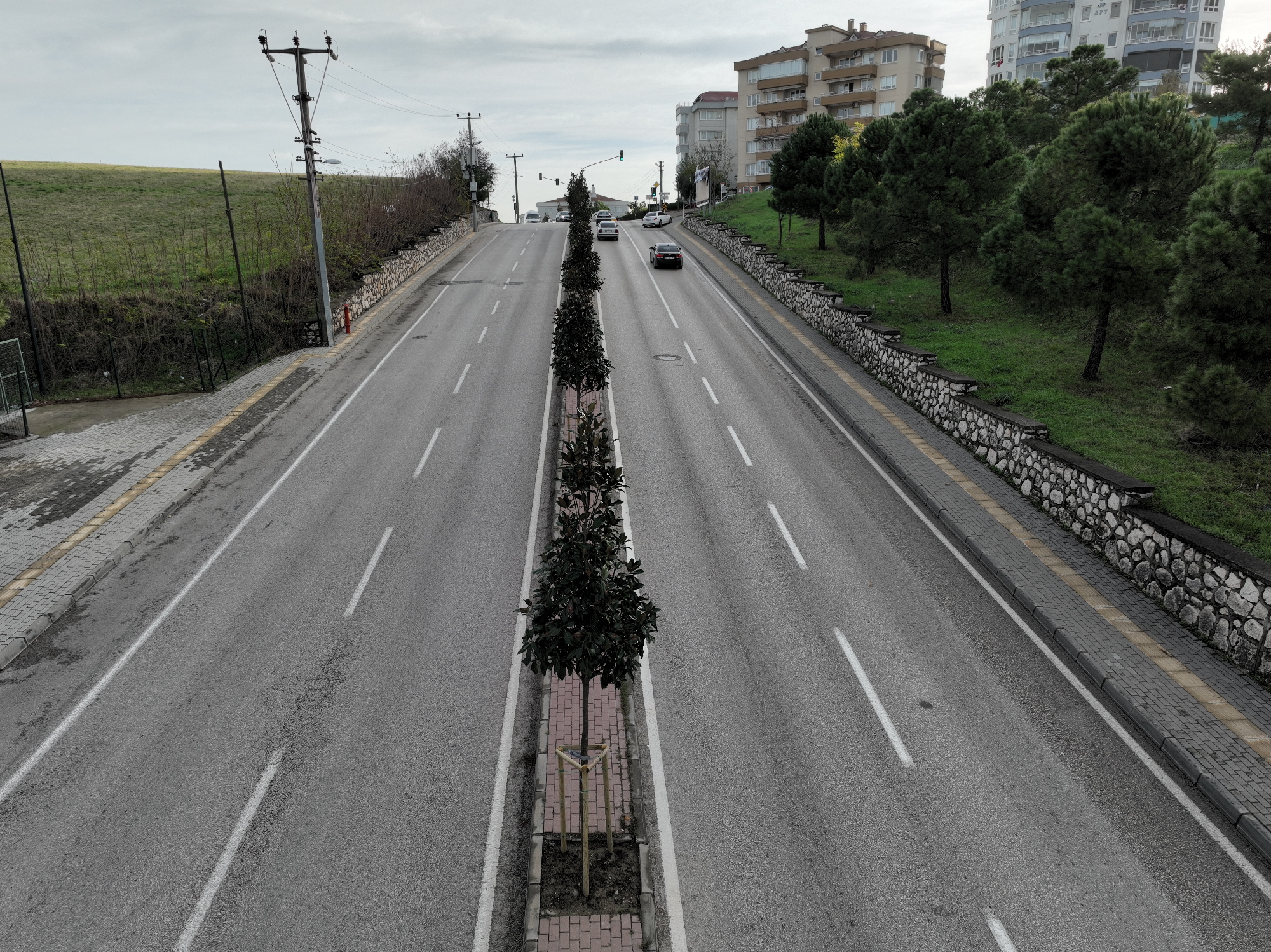 Bursa’da caddeler manolya ağaçlarıyla donatılıyor