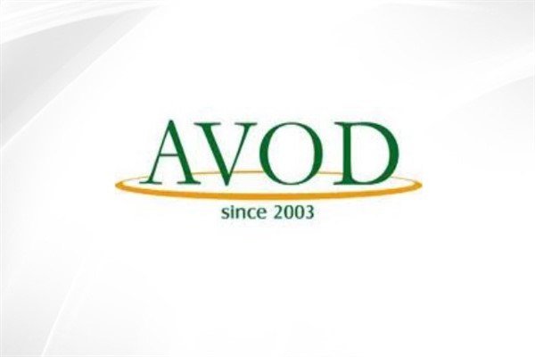 AVOD'un 12 aylık performansı