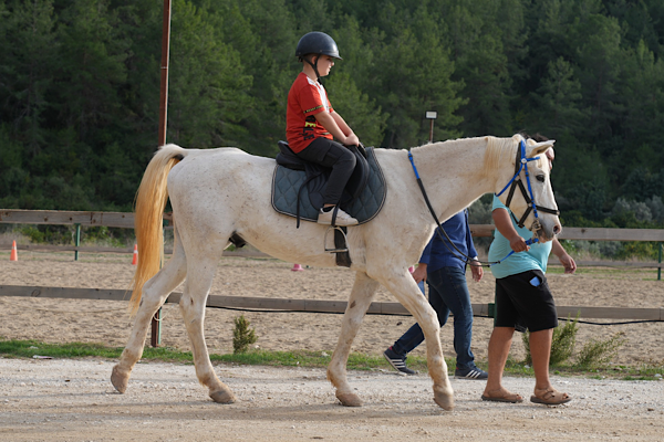 Alanya'da engelli bireylere binicilikle rehabilitasyon desteği