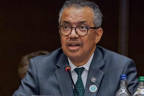 Ghebreyesus: Visseral leishmaniasis vakaları 10 yılda yüzde 58 azaldı