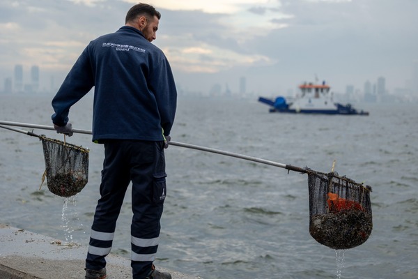 İzmir Körfezi’nden yılda bin 500 ton atık çıkarılıyor