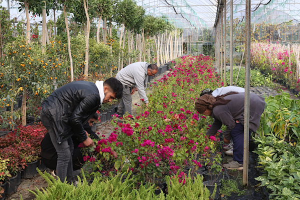 Alım Garantili Süs Bitkisi Üretimi Projesi hayata geçirildi