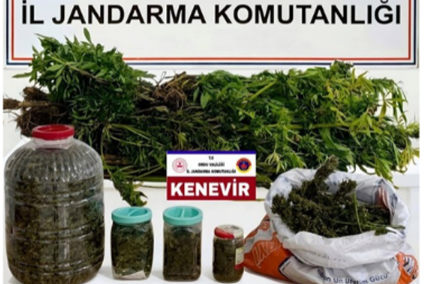 Ordu’da uyuşturucu operasyonu