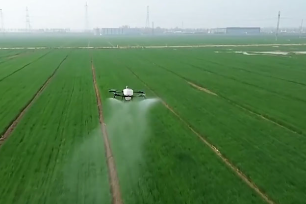 Çin’in tarım ve kırsal ekonomisi yılın ilk çeyreğine güçlü başladı