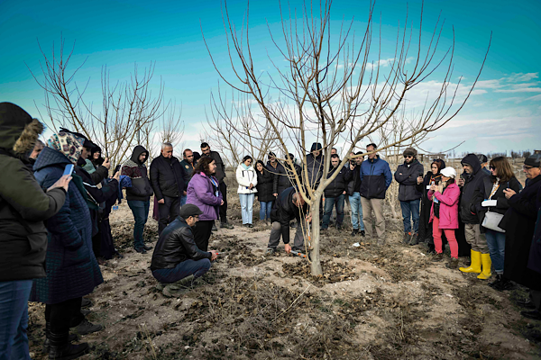 ATA Çiftliği’nde meyve ağaçlarında budama ve terbiye kursu düzenlendi