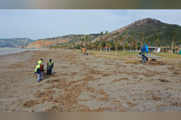Gazipaşa'da yağışların ardından sahillerde temizlik çalışması başlatıldı