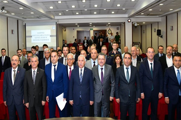 Trabzon'da sahipsiz hayvanları korumak için yeni adımlar atılıyor