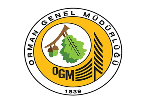 OGM, Marmaris'te enerji nakil hatları altında 150 bin lavanta fidanı dikti