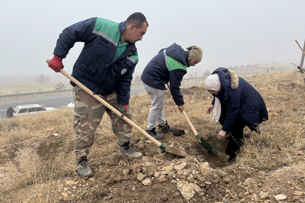 Büyükşehir, ağaçlandırma çalışmalarına Yahyalı'da devam etti