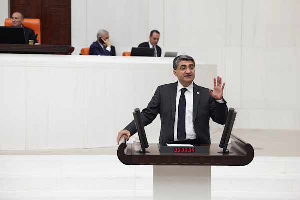 Ekmen: Büyükbaş hayvancılıkta Türkiye adeta bir ithalat cennetine dönmüştür