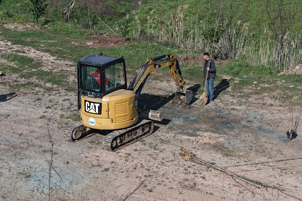 Gemlik’te fidan dikimi ve çim biçme faaliyetleri sürüyor