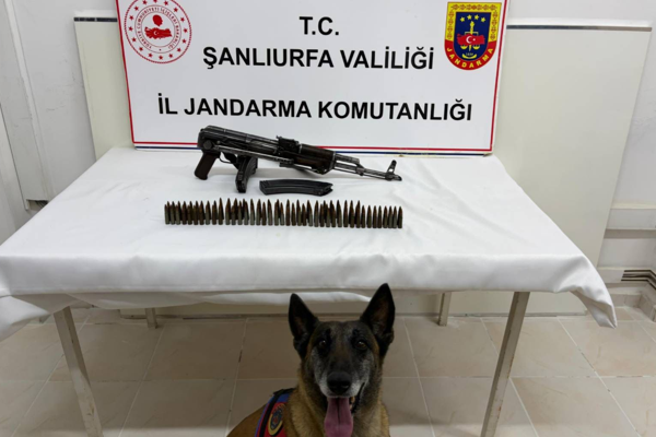 Şanlıurfa’da silah operasyonu