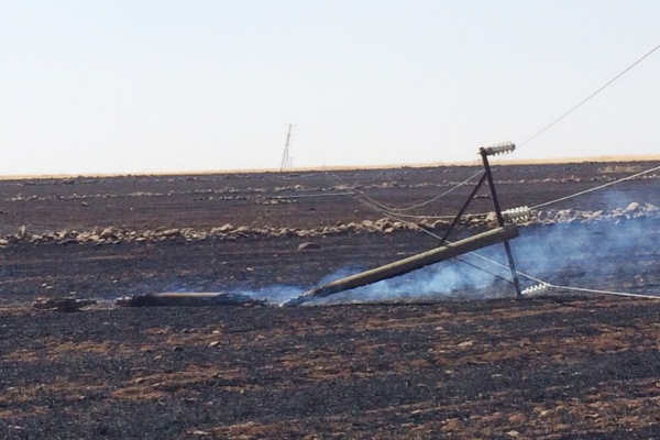 Anız yangınları hem tarımsal üretimi hem de enerji arzı riske atıyor