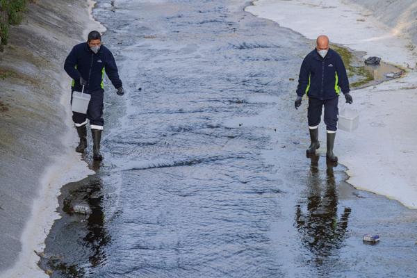 Büyükşehir, ilaçlama çalışmalarına devam ediyor