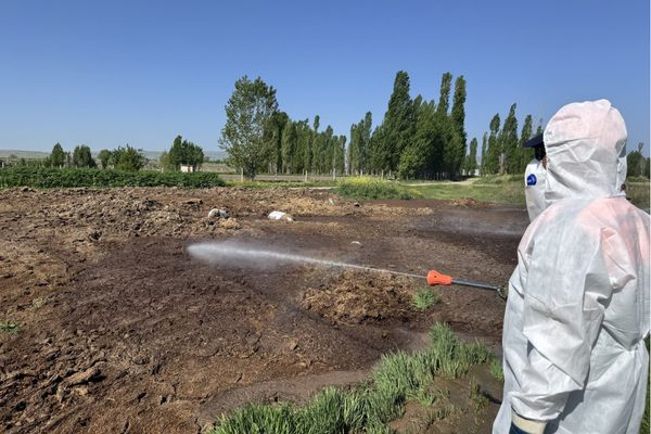 Çorum'da vektörel mücadele ve temizlik çalışması yapıldı