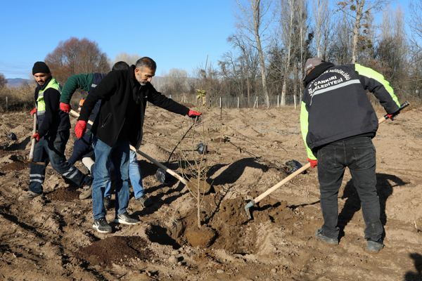 Çankırı'da atıl araziler, verimli tarım arazilere dönüştürülüyor