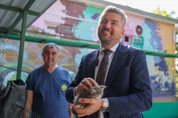 2025'te Buca'da 300 sokak hayvanı sahiplendirildi