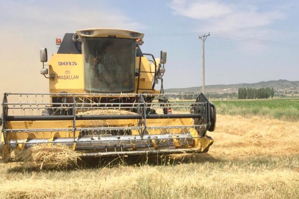 TÜRİB’de tarım ürünleri fiyatları haftalık yükseldi