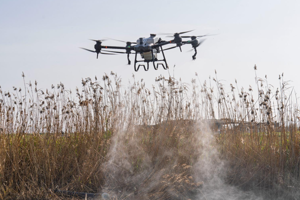 İzmir'de sivrisinek ve zararlılara karşı yeni model