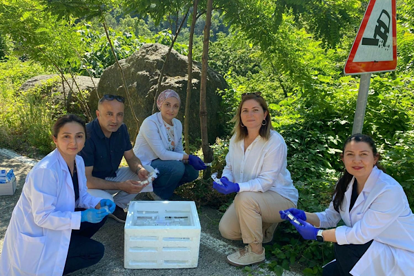 Samsun’da 1 milyonun üzerinde samuray arısı doğaya salındı