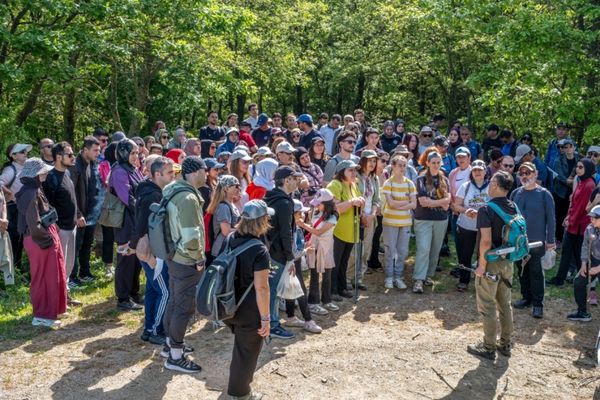Yalova’da “Şakayığın İzinde” doğa yürüyüşü düzenlendi
