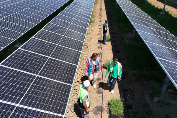 Samsun'da GES’le çiftçiler için tarım ve enerji bir arada