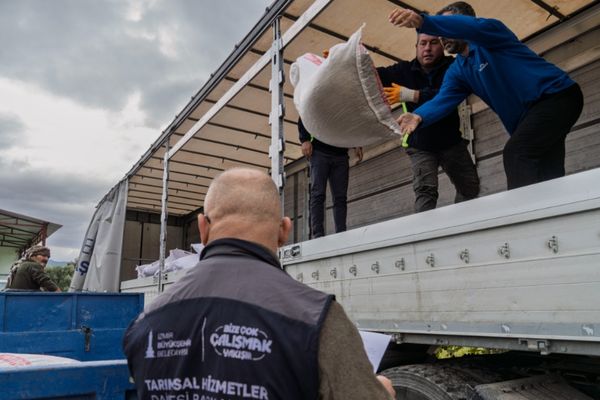 İzmir Büyükşehir Belediyesi, yangından etkilenen 47 üreticiye yem desteği sağlıyor