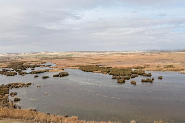 Eskişehir'de doğaya ve geleceğe yönelik etkinlik