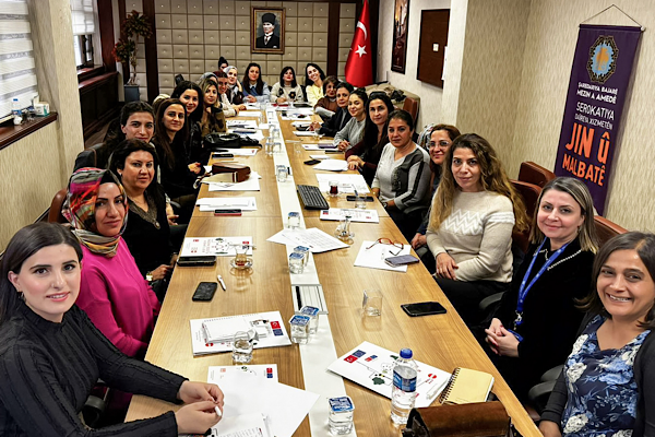 Diyarbakır'da Kadın Dostu Kentler Programı’nın çevrimiçi eğitimleri başladı