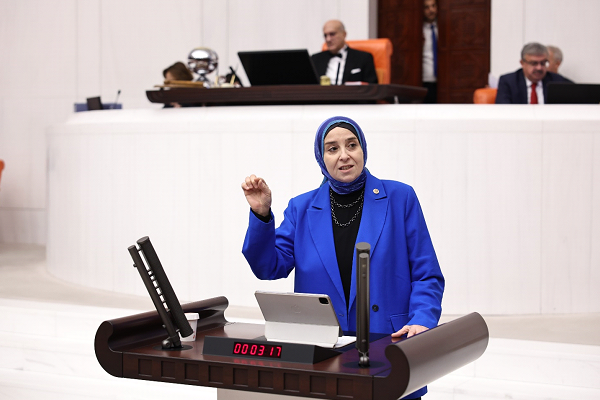 Esen, Memişoğlu'nun yanıtlaması için soru önergesi verdi