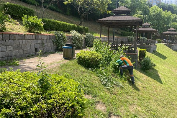 Trabzon Büyükşehir, şehir estetiğini güçlendiriyor