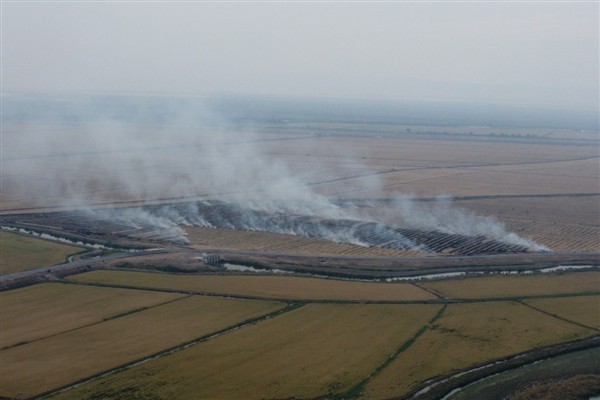 Enez’de milli park çevresinde anız yangınları