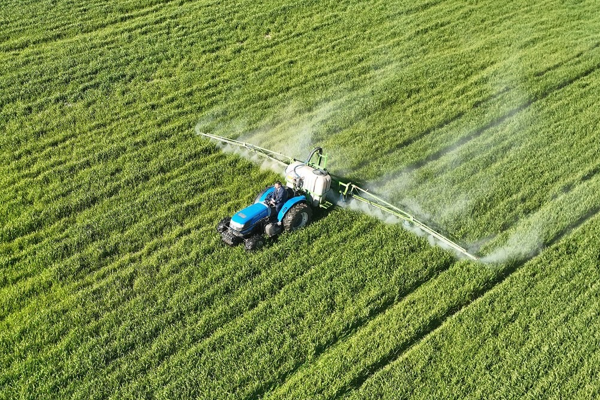 Akhisar Belediyesi arazilerinde buğdayda ilaçlama çalışması yapıldı