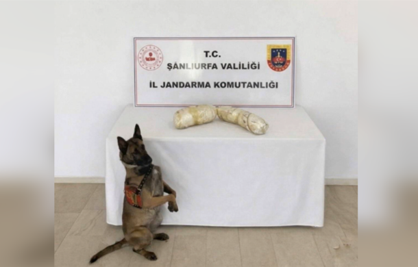 Şanlıurfa'da uyuşturucu operasyonu