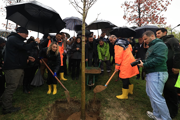 İstanbul'da tutuklu belediye başkanları ve bürokratlar için fidanlar dikildi