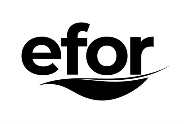 Efor Holding, yabancı yatırımcıdan EFOR payını satın alacak