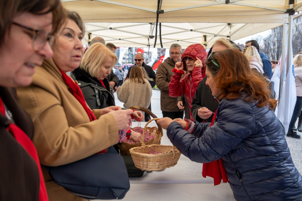 Yalova' marteniçka geleneği sürdürülüyor