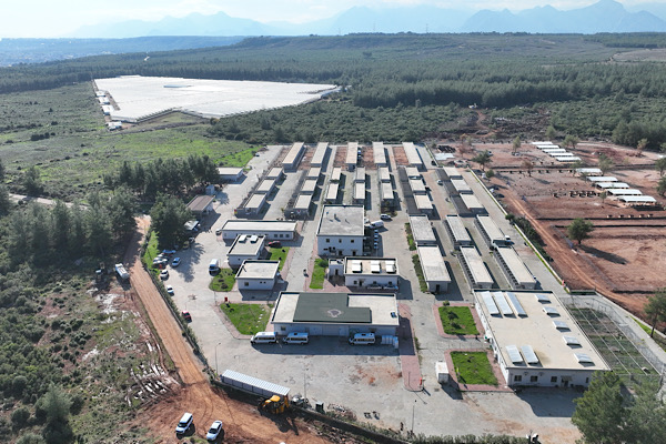 Antalya’da 1 yılda 3 bin 779 hayvanın kısırlaştırma işlemi tamamlandı