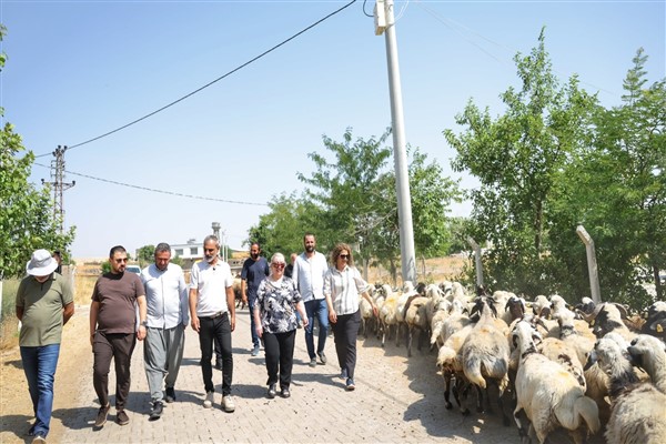 Kayapınar'da kırsal mahallelerde altyapı çalışmaları sürüyor