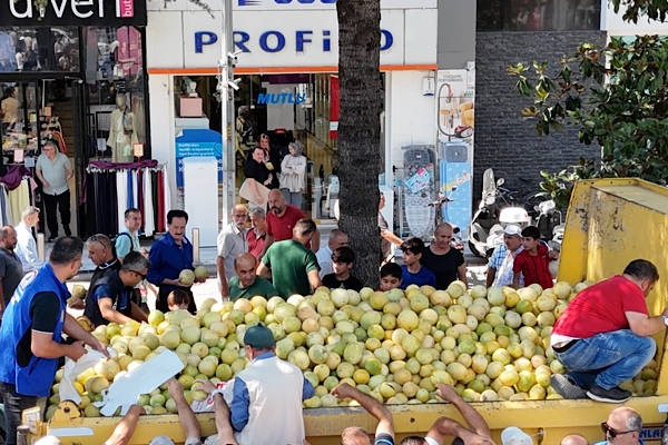 Düzce Belediyesi'nden 5 ton yerli kavun dağıtımı