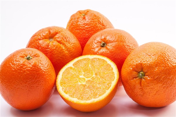 Konfrut Çukurova'nın tesis yatırımı