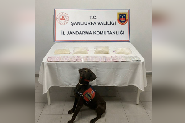 Haliliye'de uyuşturucu operasyonu 