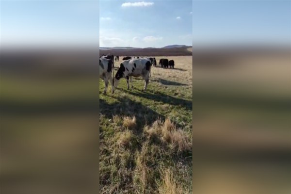 Türkiye’den yıllık 24 milyar dolar Afganistan’a gidiyor