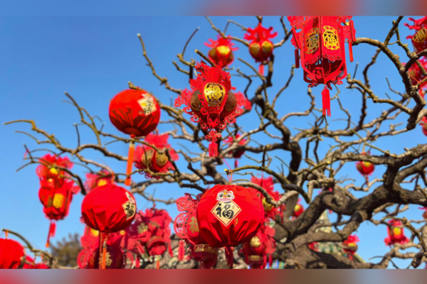 Xi Jinping’den Iowa’daki dostlarına Bahar Bayramı mesajı