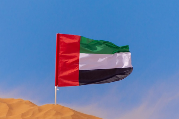 BAE hava savunma sistemleri, 9 insansız hava aracını etkisiz hale getirdi