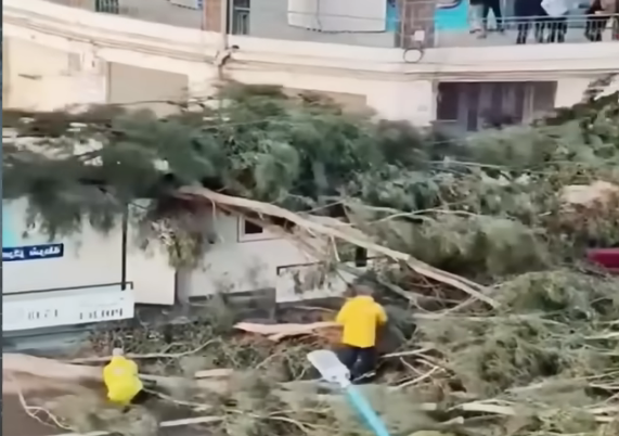 Portekiz İçişleri Bakanı, sellerdeki performansı nedeniyle istifa etti