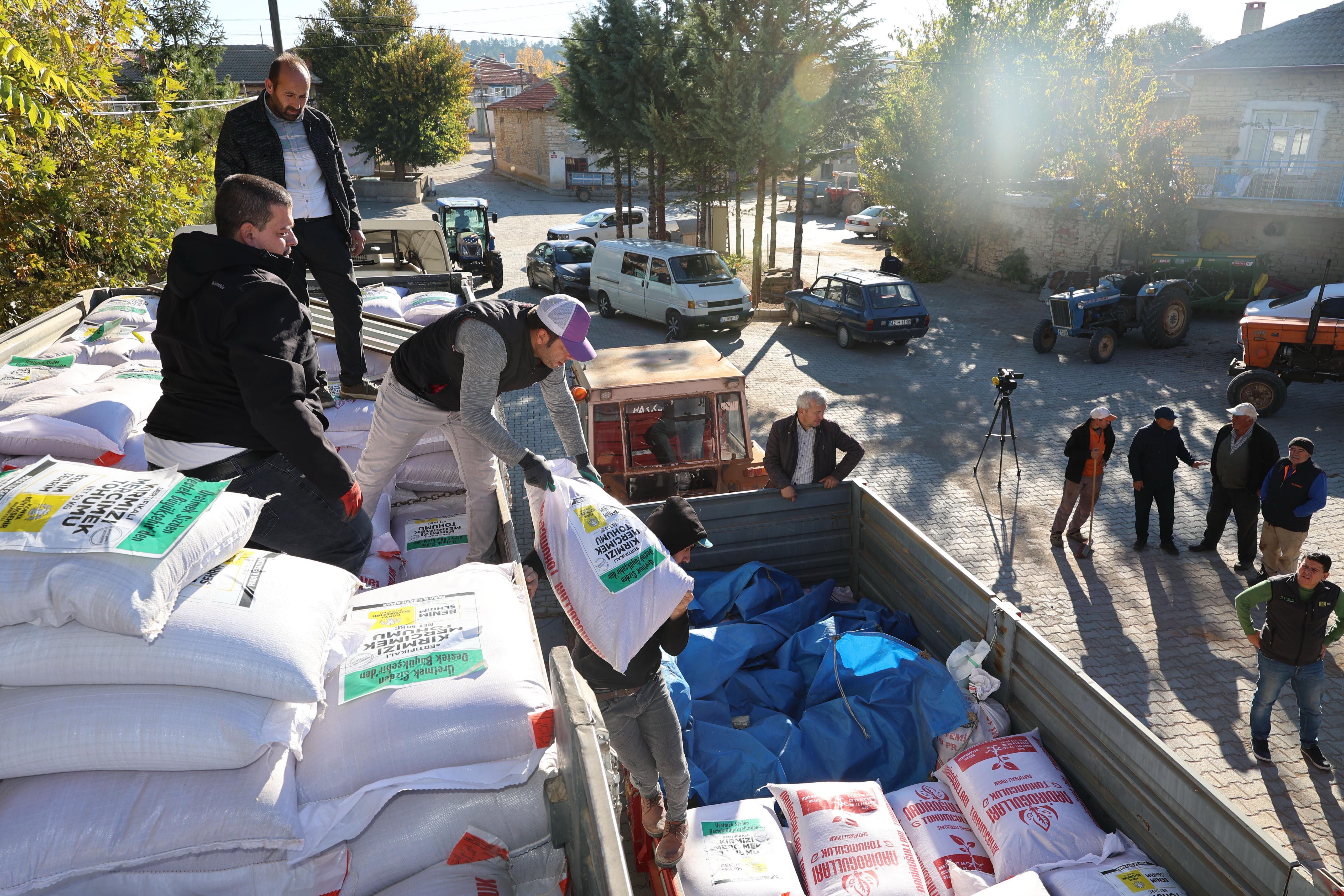 Konya’da çiftçiye mercimek tohumu desteği