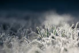 Meteoroloji'den zirai don ve çığ uyarısı