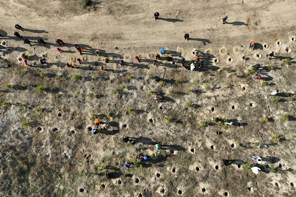 Mamak’ta fidanlar toprakla buluşturuldu